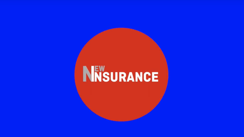 New Insurance - Capitale Umano