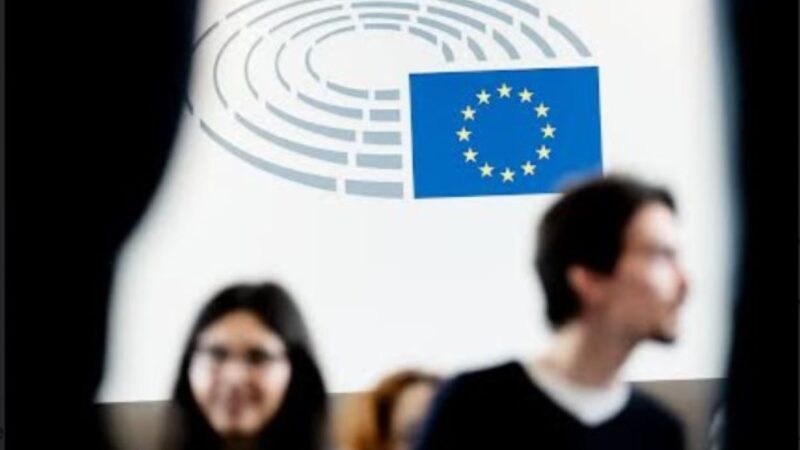 elezioni europee economia