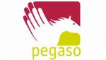 Fondo Pegaso Fondo Pegaso